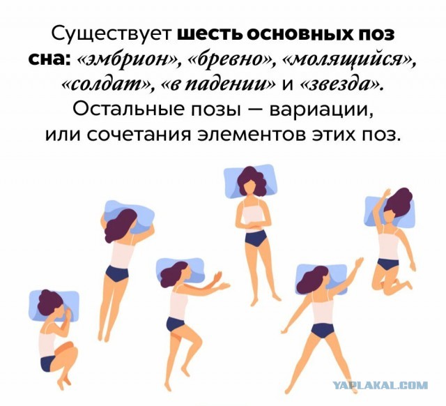 Факты. Просто факты 3