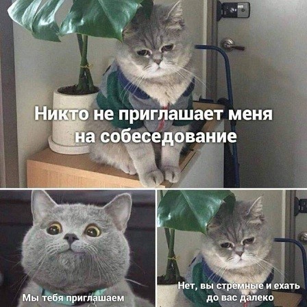 К собеседованию готов