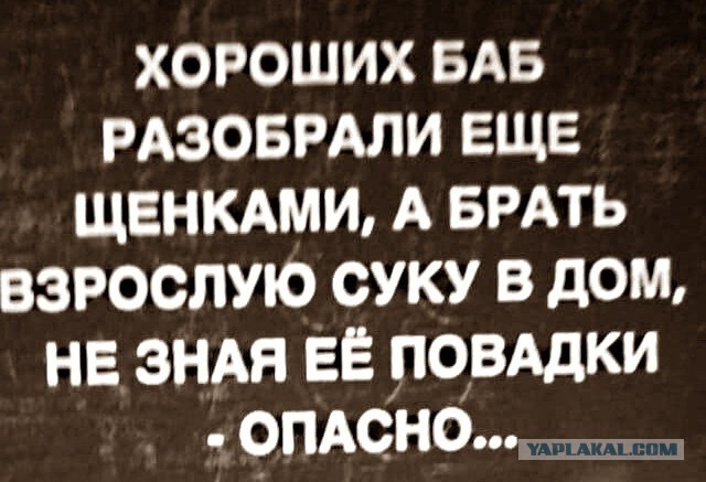 Так себе картинки 22.02.23