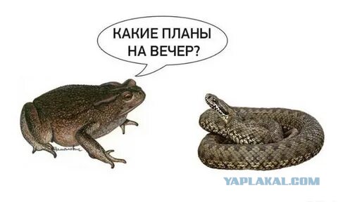 Командир «Группы Вагнер» Герой России - Дмитрий Уткин дал комментарии в ответ на выпады Делимханова и Даудова: