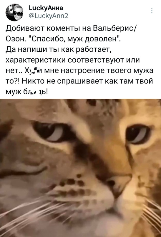 Весёлый полтишок 02.06.23