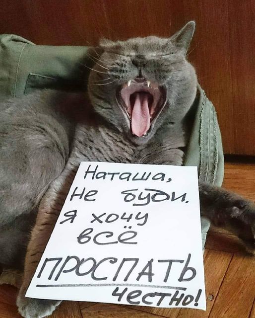 Так себе картинки 09.05.24