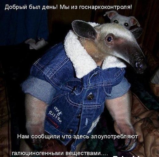 Маленькая пятница