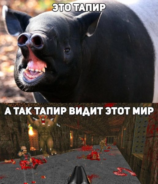 Отряд быстрого деградирования