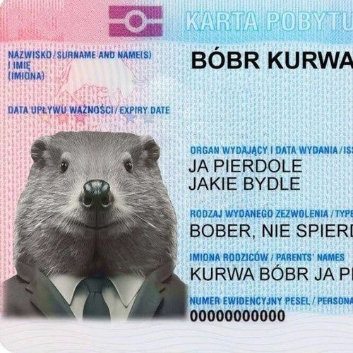 Так себе картинки 10.01.25