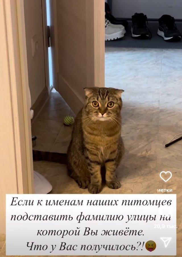 Ну а что? Мне понравилось…