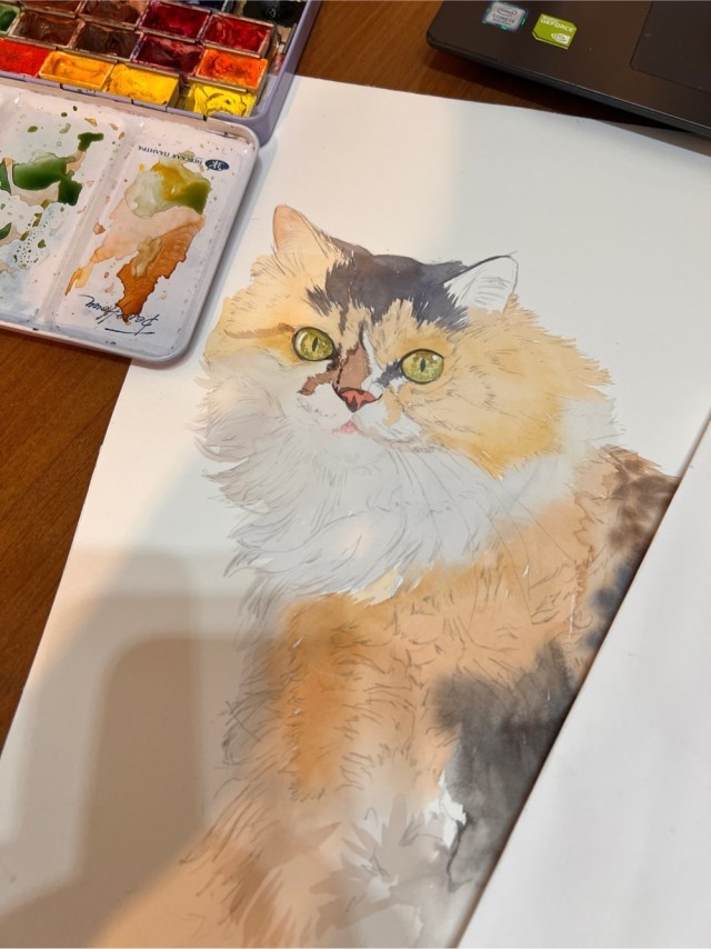 Кошка Муся с черным усом акварелью