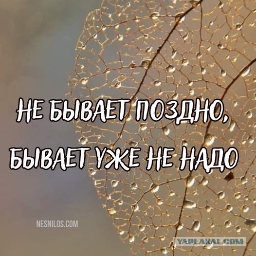 Картинки маленькой пятницы