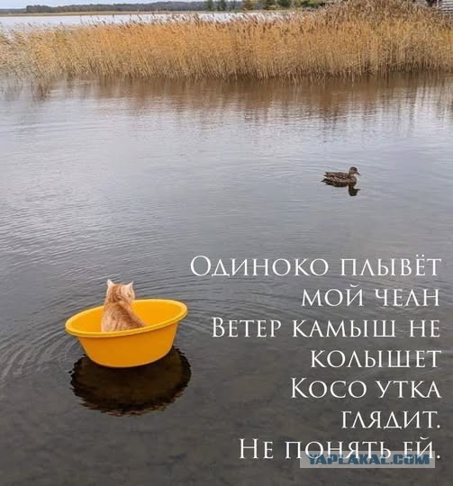 Вечер воскресенья