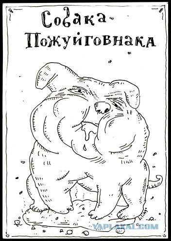 Из серии интересное про собак.