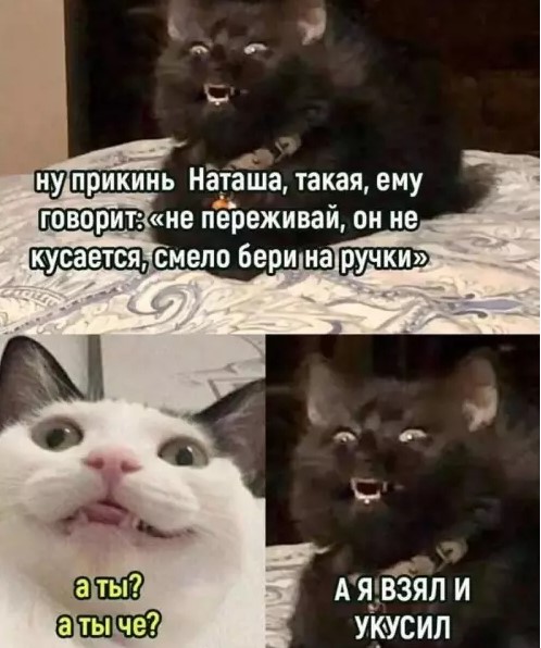 Котямбосы