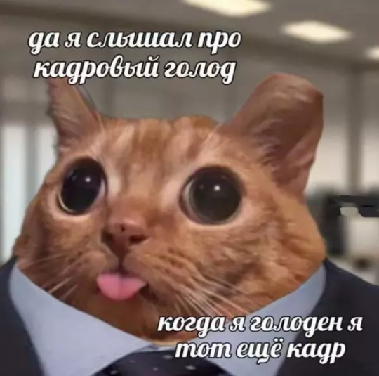 К котовторнику: подборка картинок-баянов с котиками и про котиков. Выпуск 40.