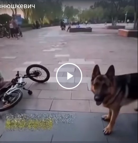 Маленький г@внюк
