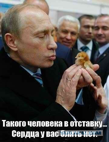 В России нет фальсификаций на выборах.