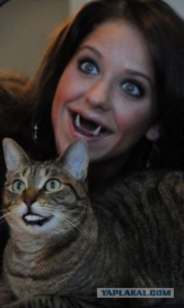 Учим японский