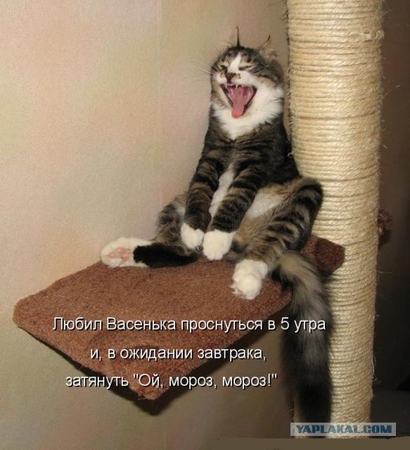 Раскорячило!