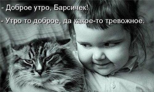 Весёлые картинки. Разбавим будни