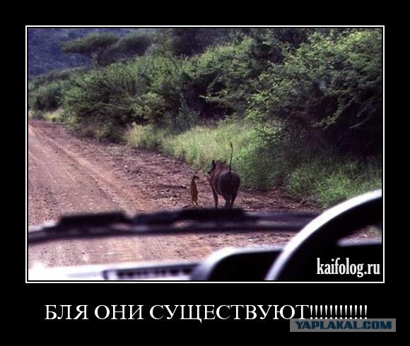 Подборка позитивных картинок на выходные