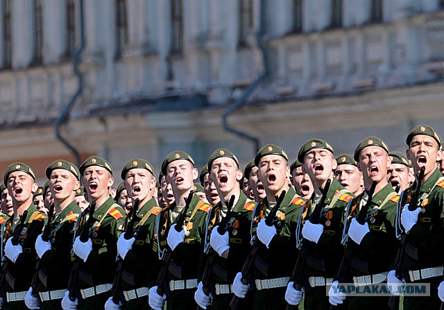 Поляки и День Победы