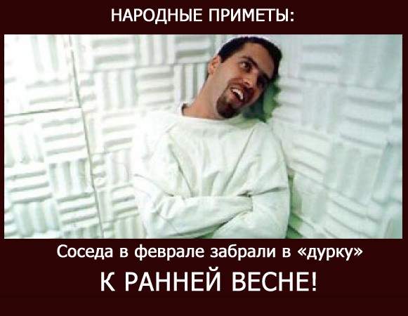 "Ёлки-Палки"!