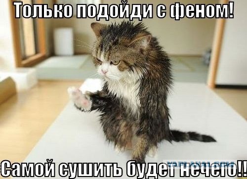 Кому юки отсыпать?