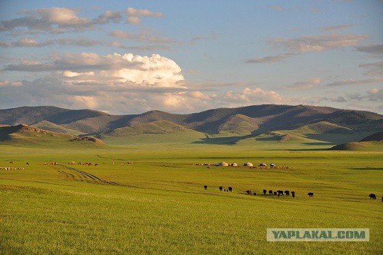 Подарочные конверты (2 шт)