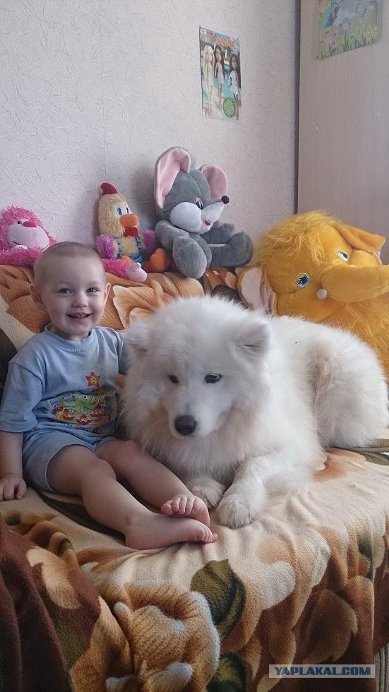 Какой национальности ваш собакен?