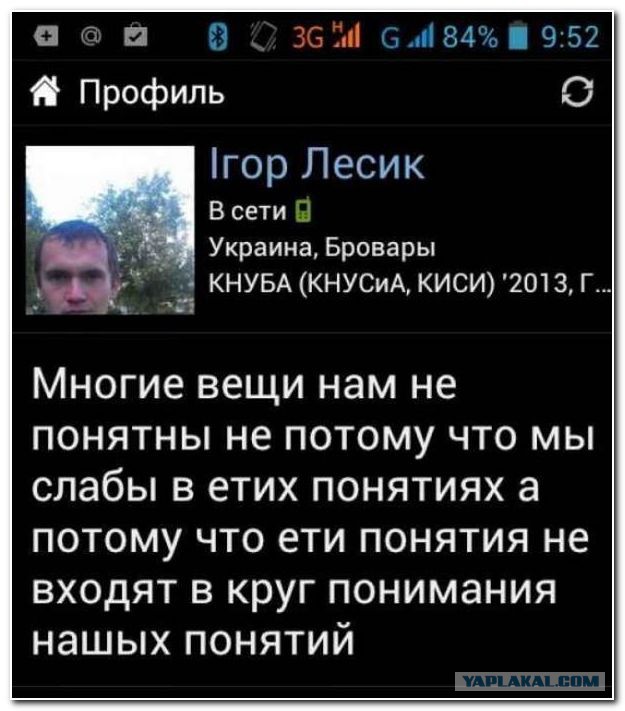Бесконечная тема - смешные комментарии