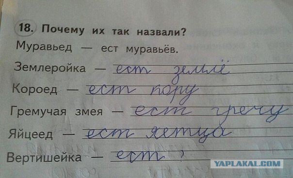 Гениальные ответы на контрольных работах...