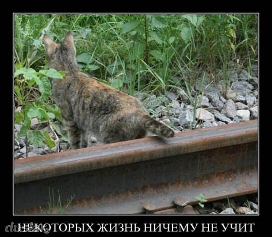 В Запорожье горит Новая Линия