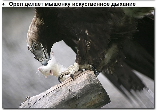 Бывает и так