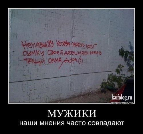 И снова про женскую сумочку...