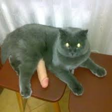 Эталон лживой шалавы