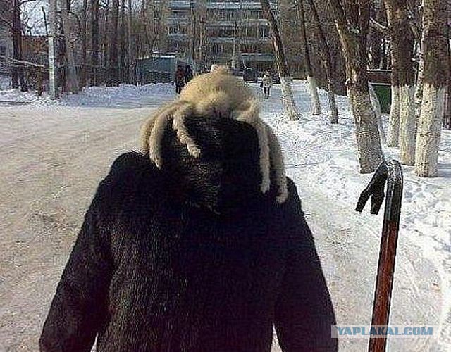 Хедкраб, принеси палку!