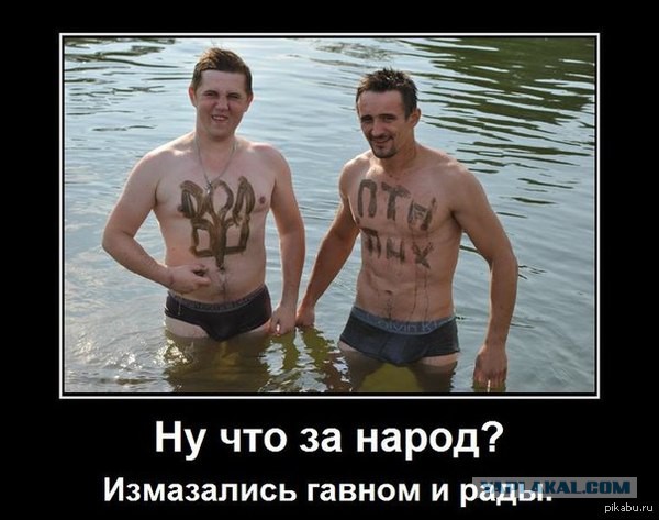 Укры негодоют и посылают лучи поноса Цукербергу