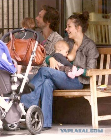 Общественное мнение