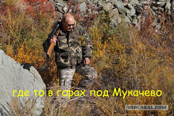 Банду геть! кричали они