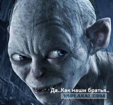 Митинг в поддержку Путина в Лужниках