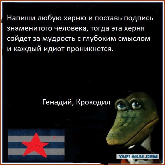 Как выглядит стандартная лента вконтакте