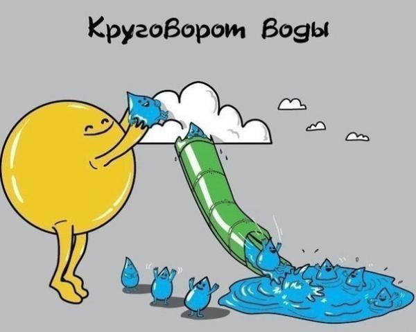 Подборка прикольных фото/картинок