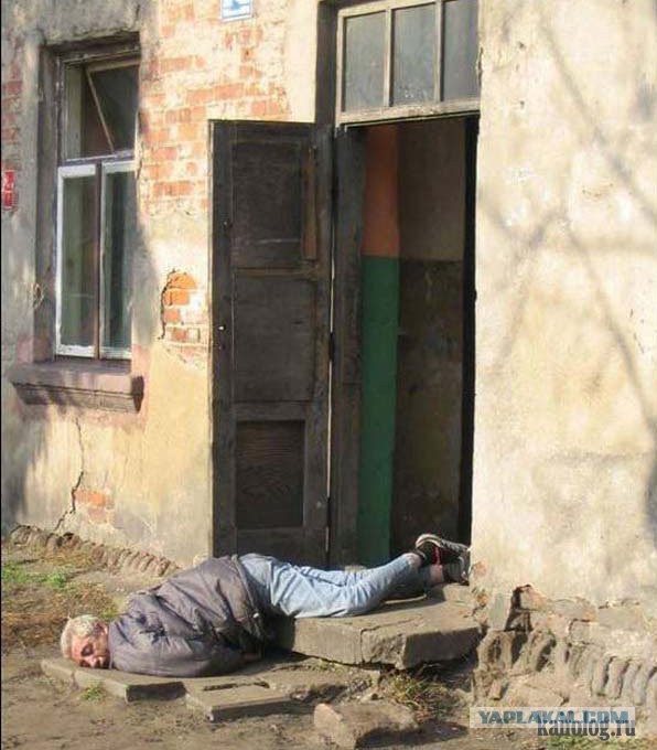 Алкокуб