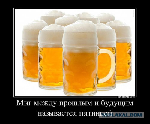 Подборка прикольных фото на пятницу