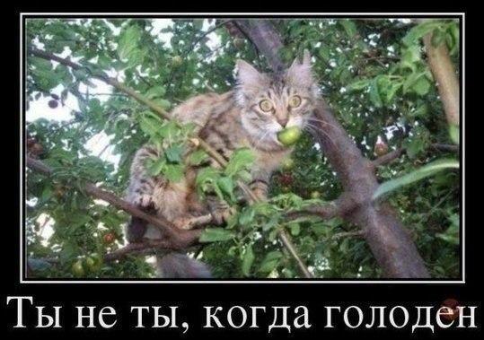 картинки на выходные