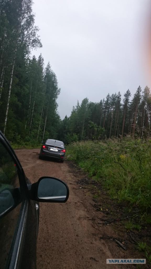 Две недели впечатлений.