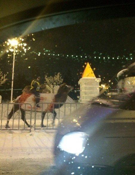 Разные картинки