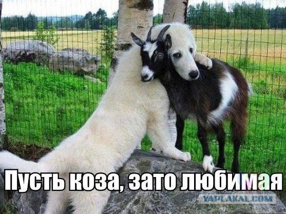 Пикчи 2008 года, или с чего я смеялся