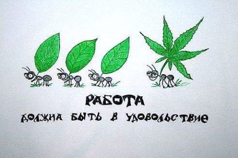 Смешные картинки