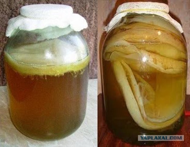 Когда в вагон садится бывалый пассажир