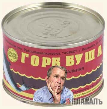 Все о БУШЕ