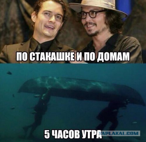 Подборка интересных и прикольных картинок